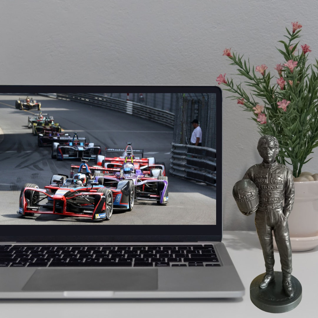 Figura Decorativa Ayrton Senna 3D